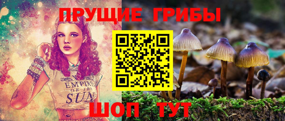 Галлюциногенные грибы мухоморы  Вход с VPN  Слободской 
