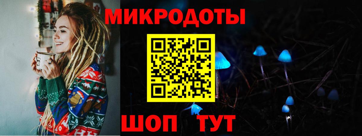 Псилоцибиновые грибы Psilocybe Слободской
